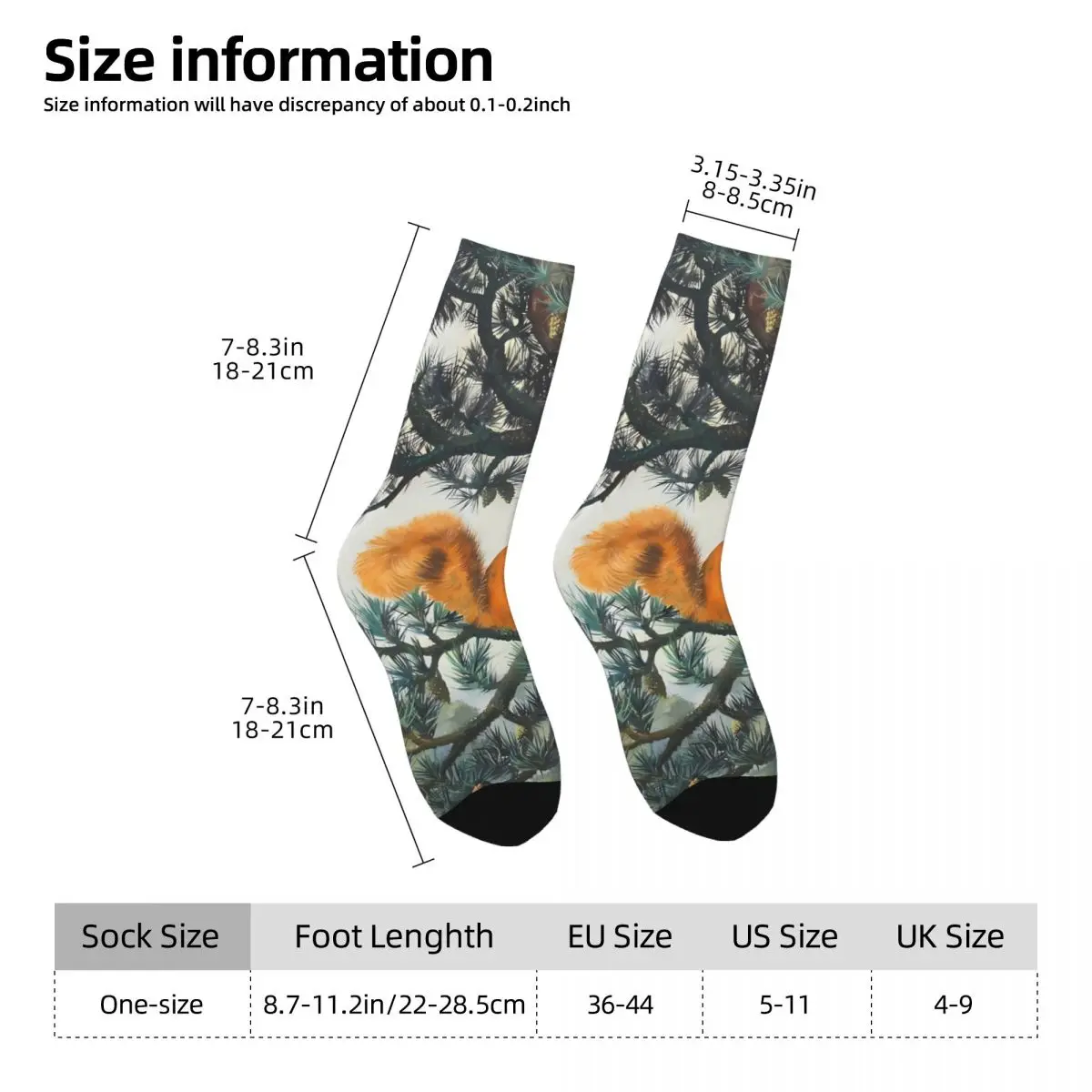 Squirrel Sock Printed Man Polyester