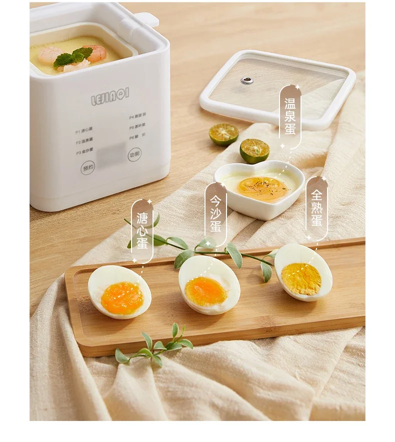 220V Automatic Egg Boiler and Steamer with Multiple Functions and Timers for Home use