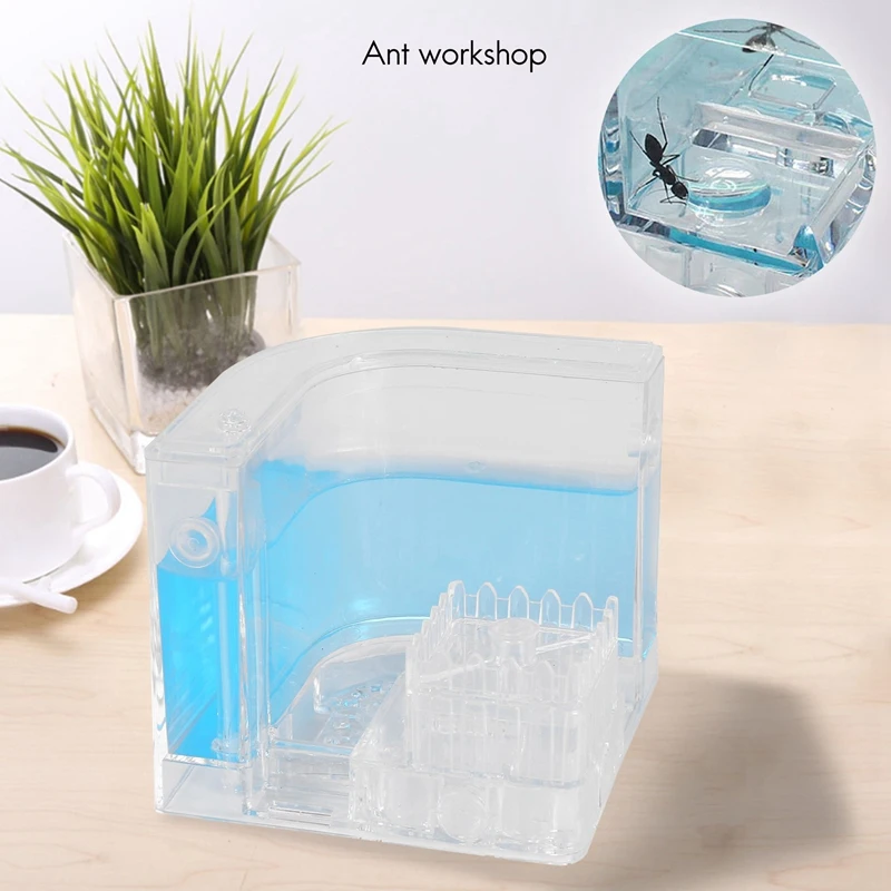 DIY ความชื้นพร้อมพื้นที่ให้อาหาร Ant Nest Ant Farm Ant Nests Villa สัตว์เลี้ยงสําหรับ House มด Ant Workshop Ant Nest วิทยาศาสตร์การศึกษา To