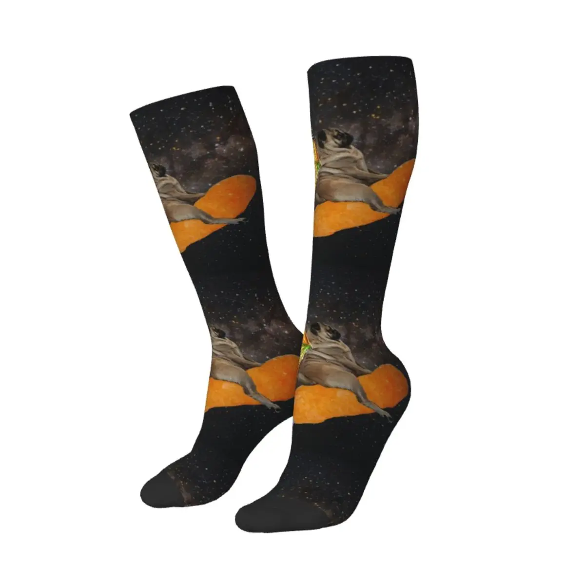 Old School Funny Dinosaur Cat Graphics Bundle Socks High Quality Stockings All Season Long Socks for Man's Woman's Gifts