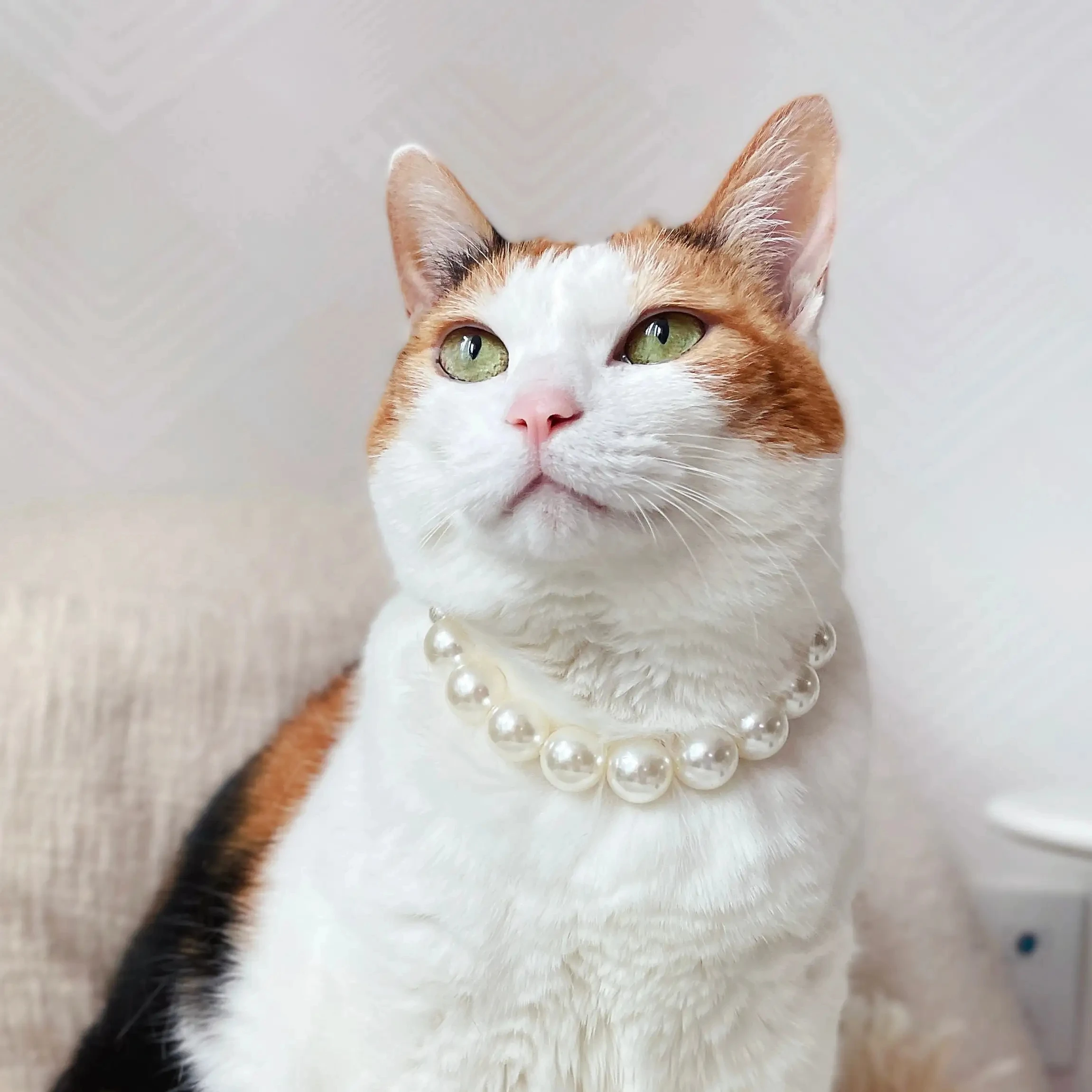 New pet necklace Elegant Handmade Cat Dog Pearl Necklace Gift Wedding Halloween Costume Suitable for Small Dog Cat Take Pictures