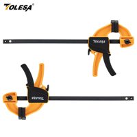 TOLESA 6\