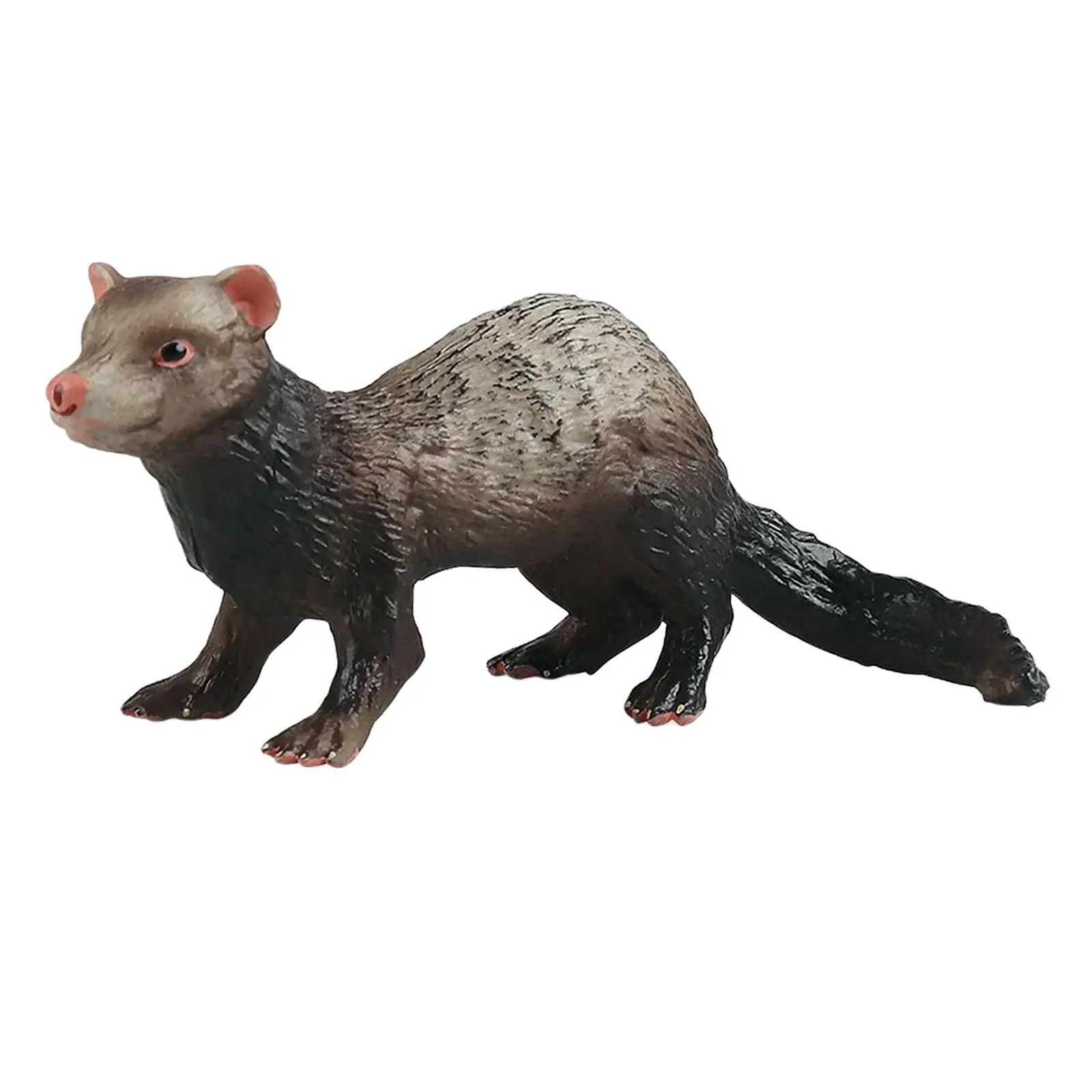 Figurines de simulation de furet d'Auckland, modèle animal, jouet d'apprentissage, ensemble de jeu créatif, cadeaux d'anniversaire