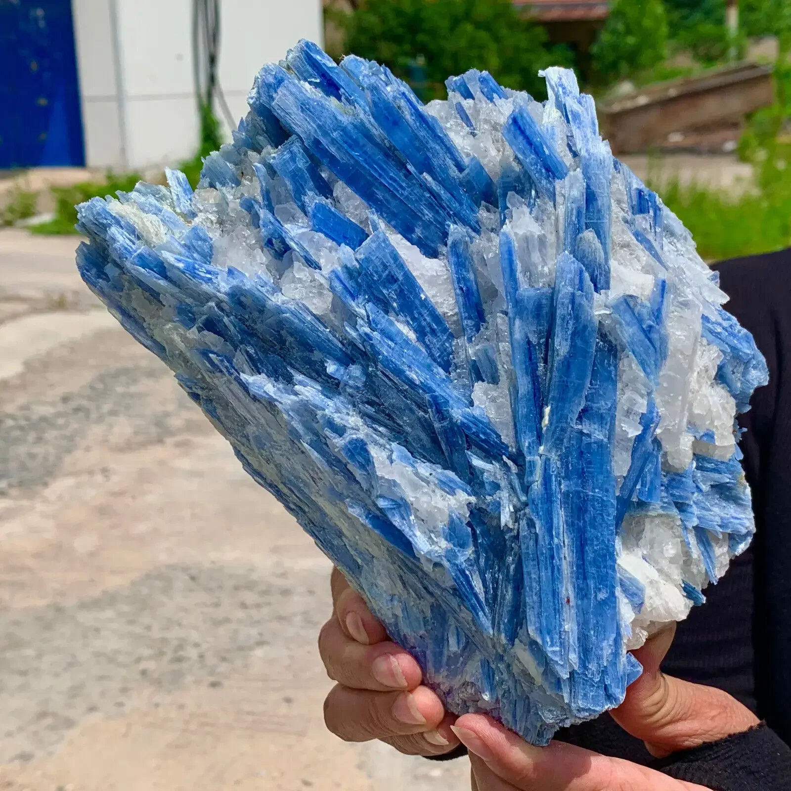 Natural beautiful Blue KYANITE with Quartz Crystal Specimen Rough