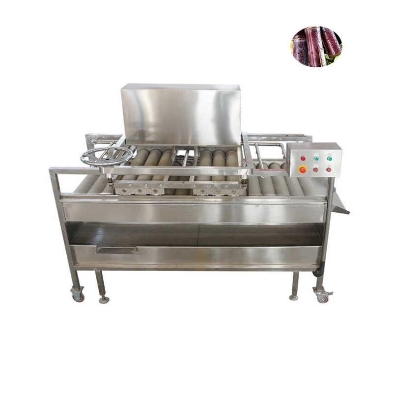 Customized Sugarcane Processing Equipment Sugarcane Vegetable Washing Machine Sugar Cane Washing Peeling Machine