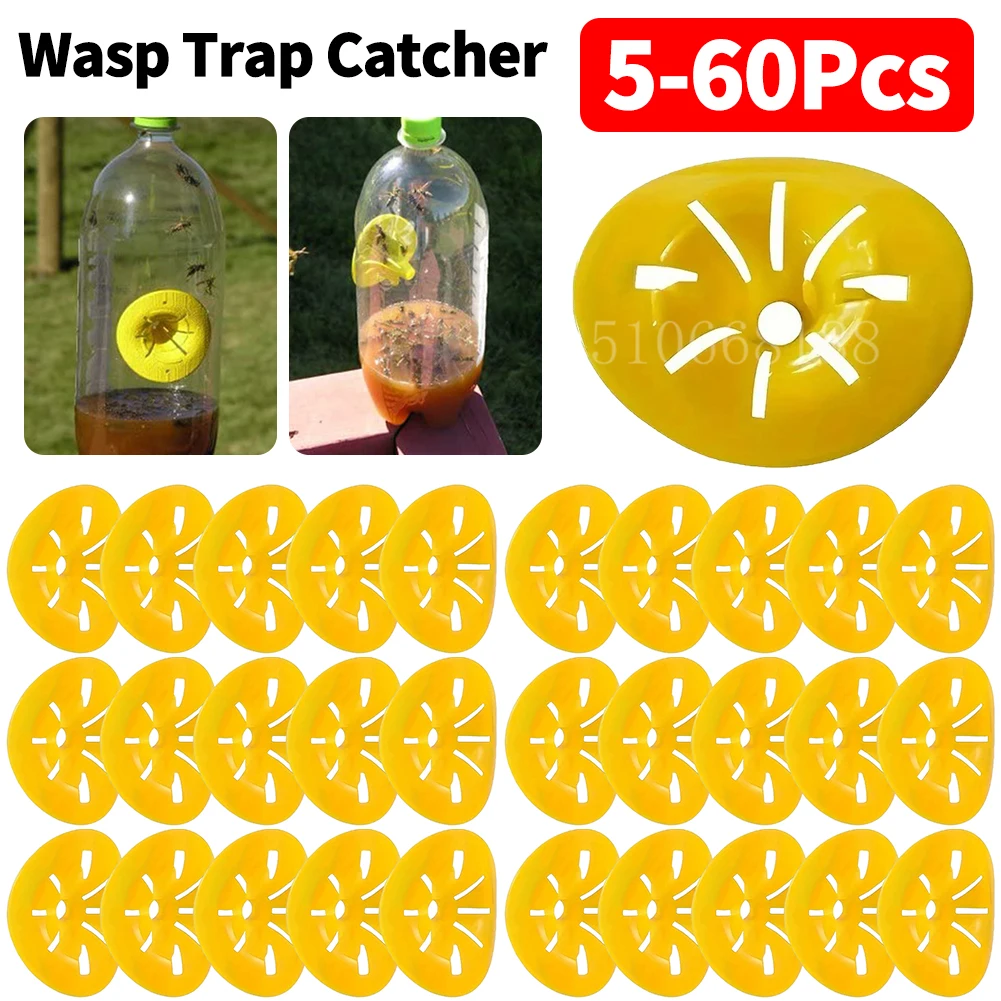 60-5Pcs Reusable Wasp Trap Insect Funnel Killer Flower Bee Hornet Catcher Plastic Bottle Wasp Traps Garden Pest Control Tool