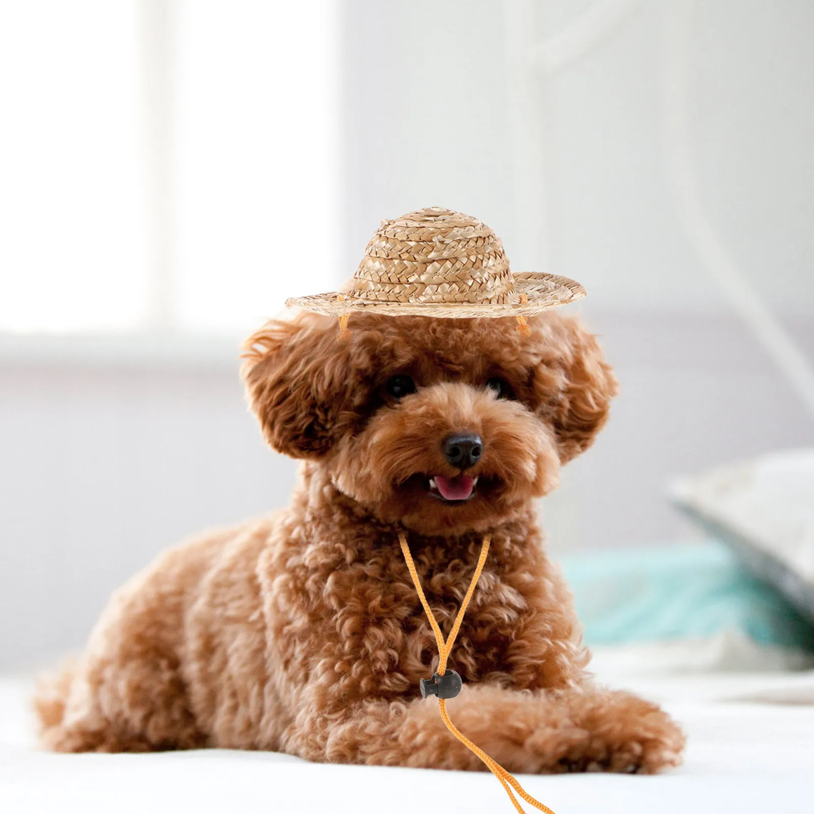 

Pet Straw Hat Adjustable For Small Dogs Puppy Cats Sun Protection Garden Beach Wear Straw Hats For Dogs Lightweight