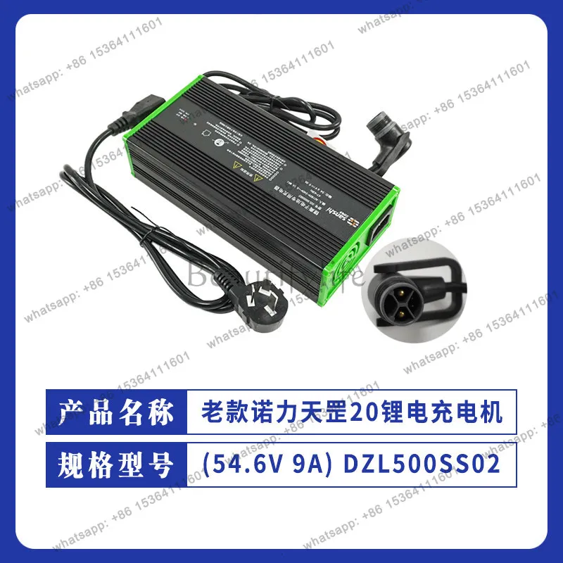 

Nuoli 20 Lithium Battery (54.6V/9A) DZL500SS02 Forklift Charger