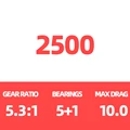 2500
