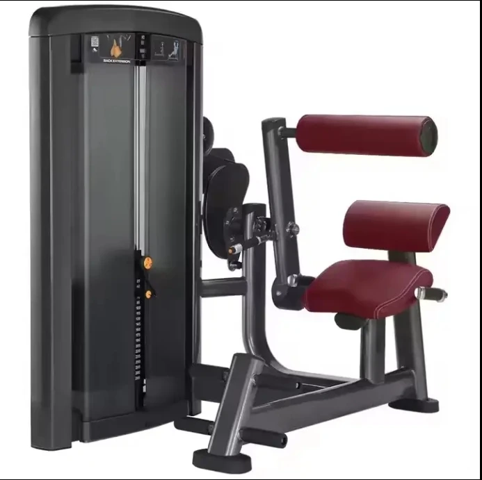 

Commercial Gym Use Fitness Equipment Back Extension Machine