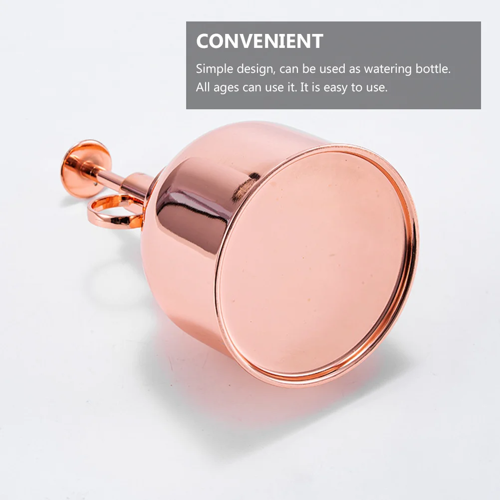 

1pc Stainless Steel Watering Bottle For Garden Kitchen Bathroom Succulent Plant With Pump Precision Spout