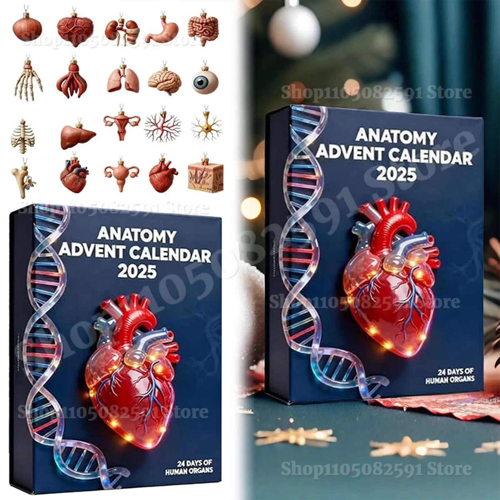 

2025 Anatomys Explore Advents Calendar 24 Day Countdown Calendar With 20pcs Human Organs Ornaments For Medical Student Present