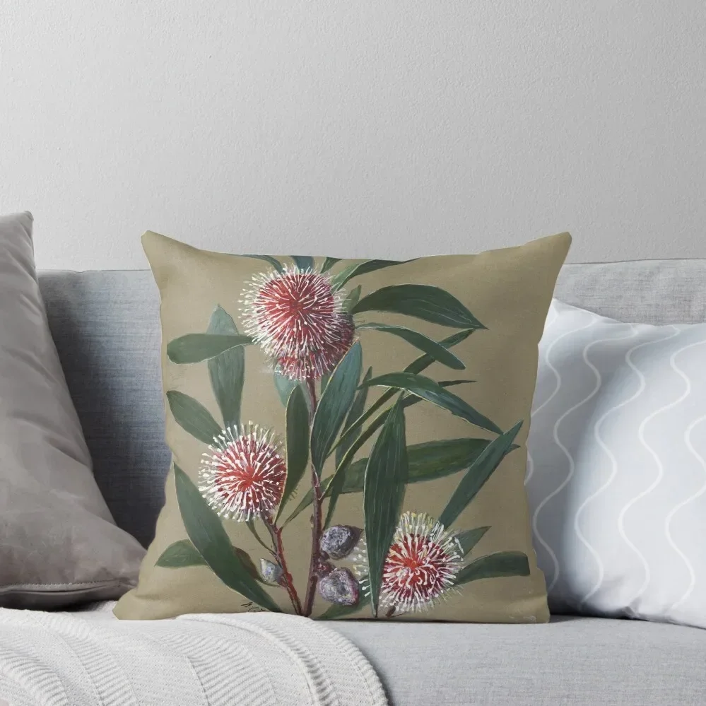 

Australian Wildflower Watercolor Pincushion Hakea Throw Pillow Decorative pillowcase pillow