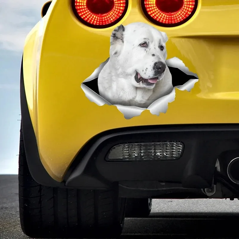 Pegatina de Coche Alabai, Perro, mascota, Animal, vinilo impermeable, accesorios de decoración Para Coche, Pegatinas Para Coche, 13cm, PVC KK