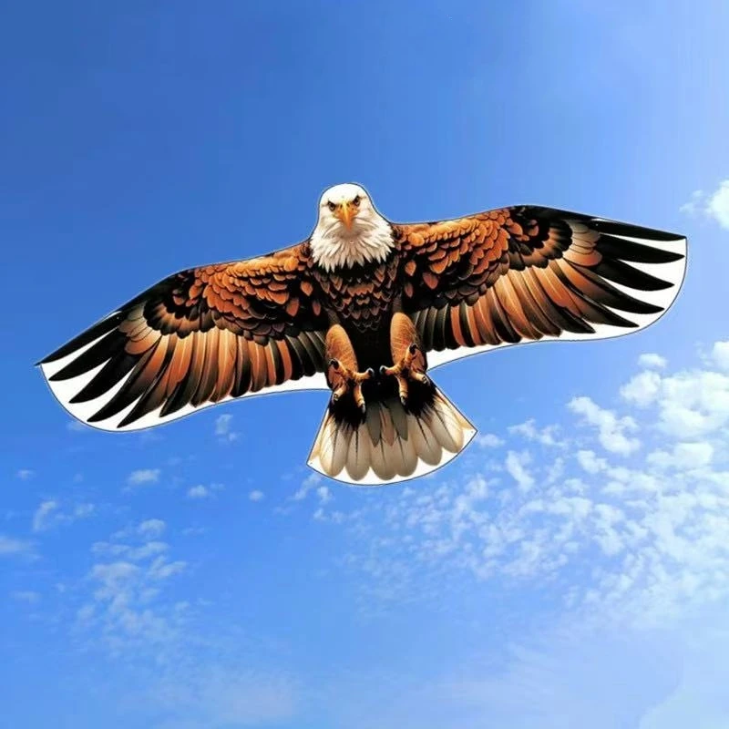 Kostenloser Versand Eagle Kite Flying für Erwachsene Outdoor-Spiel Lenkdrachen Spielzeug für Jungen professioneller Drachen fliegender Vogel Drachen Surfen
