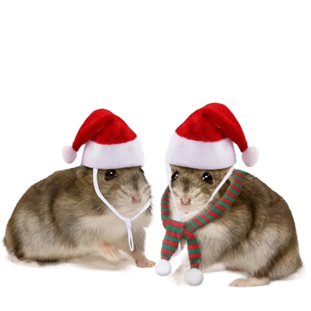 

Red and White Mini Scarf Hat Ornament DIY Craft Knit Knit Scarf Hat Doll Decoration Stripes Mini Mini Knitting Scarf Hat