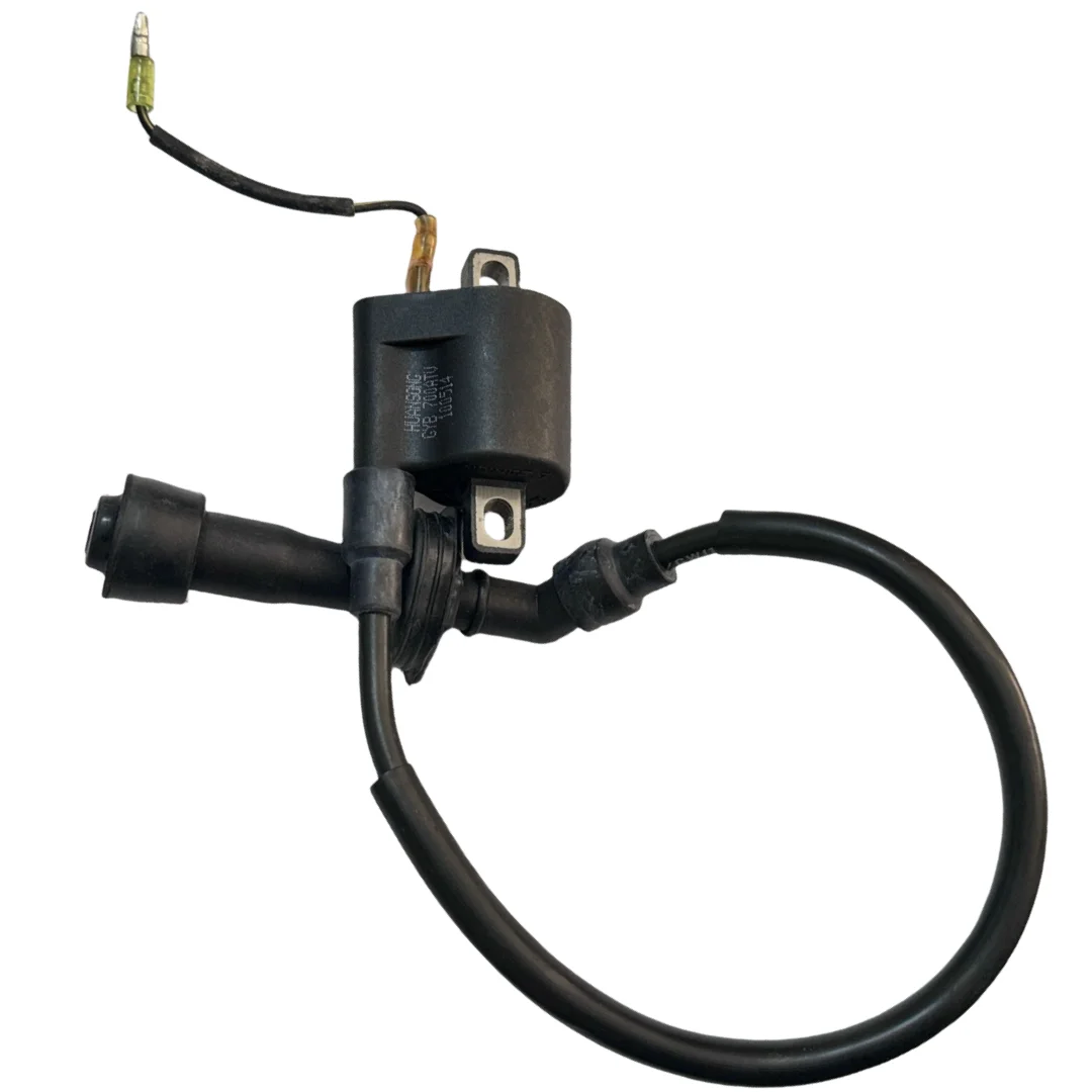 Picture 3: High Pressure Pump,Suitable for HS700ATV