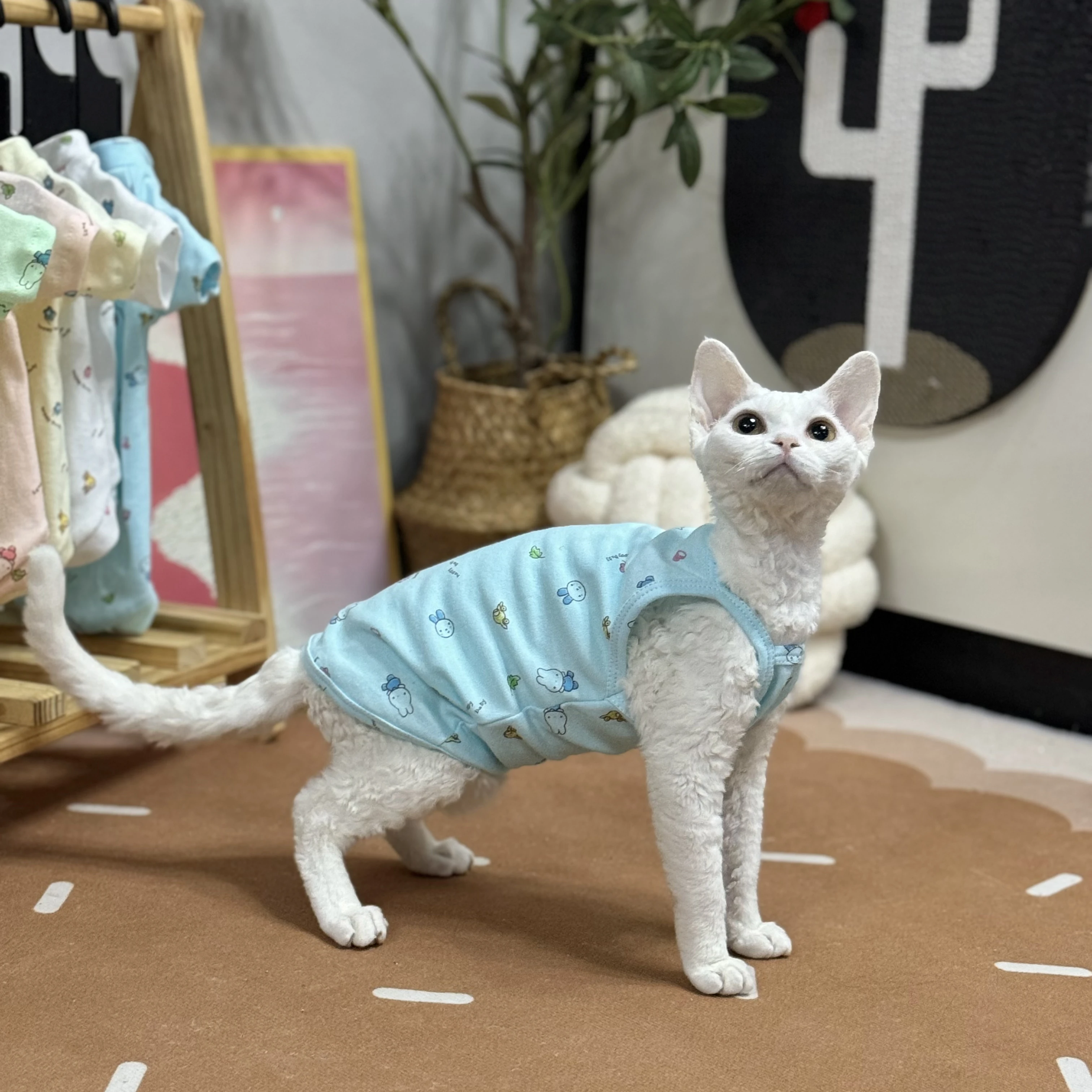 Cute Sphynx Cat Shirt Vest for Cats Gotas Summer Breathable Pet Clothes Clohting Katten Kedi Mascotas Costume Cat Suit Devon Rex