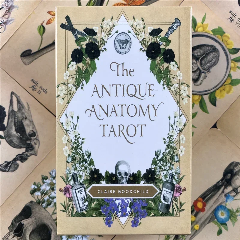 The Antique Anatomy Tarots Deck Full English Divination Oracle Cards PDF Guidebook Board Game #4