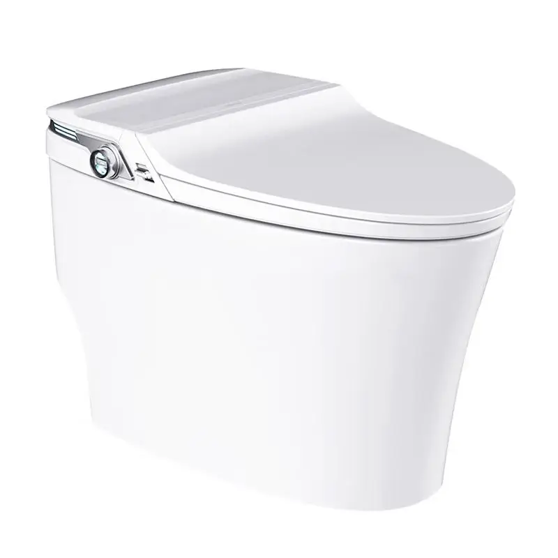 

Smart Toilet Manufacturer, with Smart Touch Adjustment Button for Cleaning and Sterilization