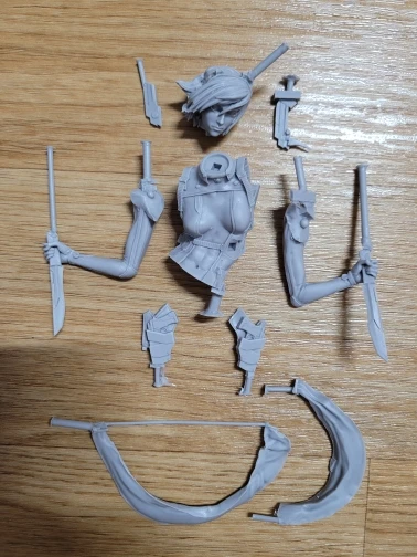 Buyer photo of this resin kit