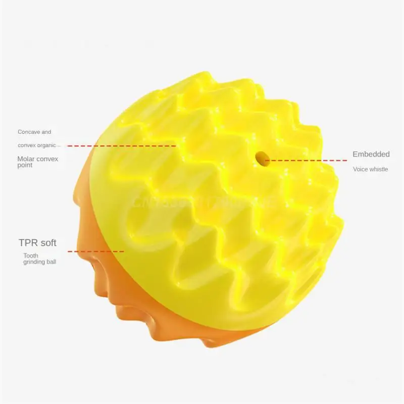 Molar Ball Sturdy Dog Training Ball Dog Toys Dog Ball Molar Bump 42g Pet Toy Ball Dog Supplies Dog Toy Ball Not Easily Damaged