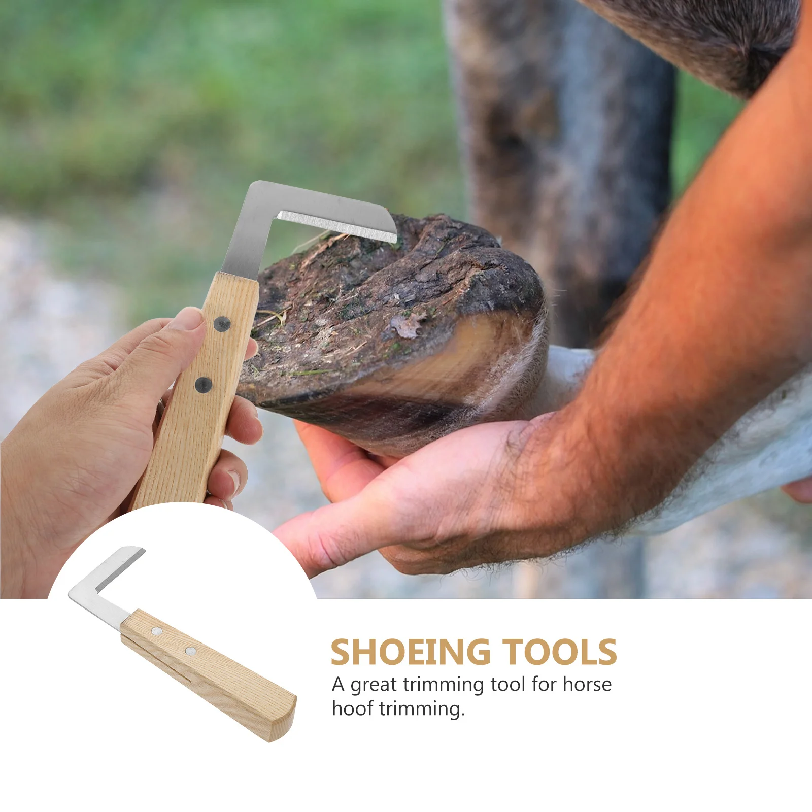 

Sheep Hoof Cutter Stainless Steel Horse Hoof Trimming Tool Non-Slip Handle Portable Farm Animal Foot Pruner For Cattle