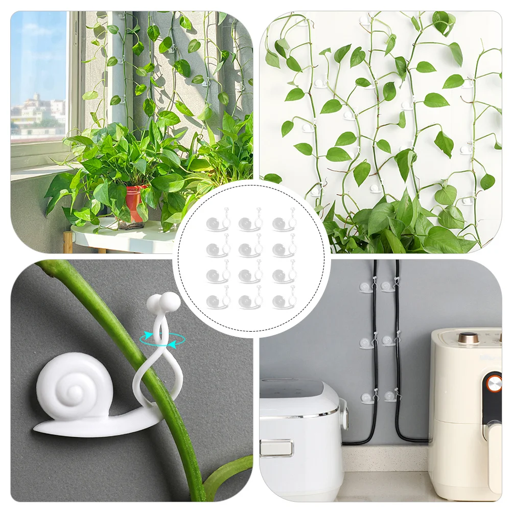 

20Pcs Plant Climbing Wall Fixture Clips Snail Shape Plant Support Binding Clip Indoor Wall Vines Fixing Holders for Garden