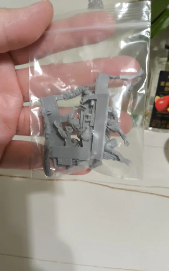 Buyer photo of this resin kit