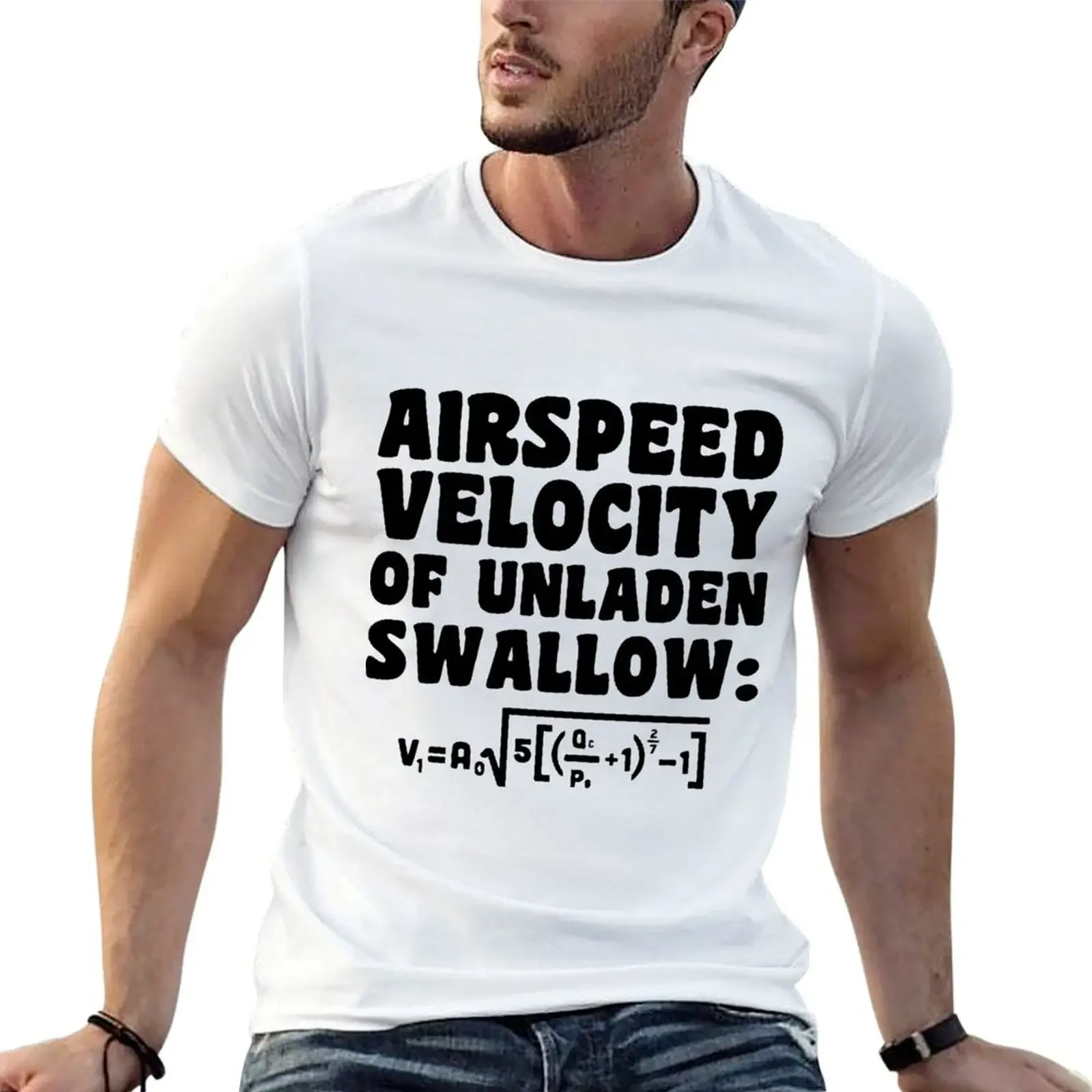 

Airspeed Velocity of Unladen Swallow T-Shirt anime figures quick-drying mens cotton t shirts