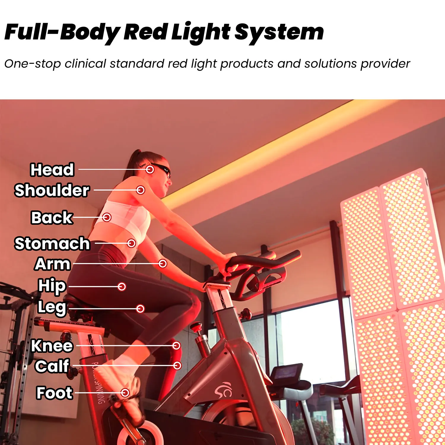 赤色光療法パネル 近赤外線デバイス アプリ制御ライトセラピー スタンド付き 590nm 630nm 660nm 810nm 830nm 850nm 940nm