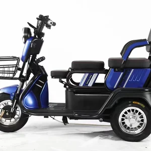 Elektrisches Dreirad ohne Bürste für Erwachsene, elektrischer Roller, Solardreirad 12 Hauptverkaufsmotorrad Elektrische Erwachsene - №2