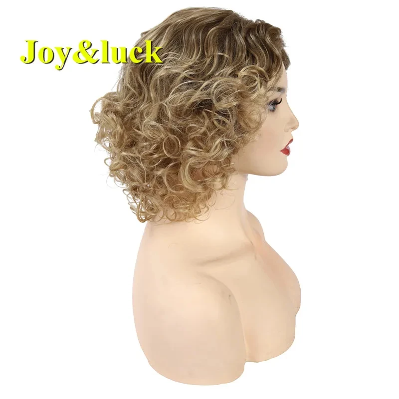 Short Curly Synthetic Wigs Brown Ombre Blonde Wigs For Women Fashion Daily Female Hair