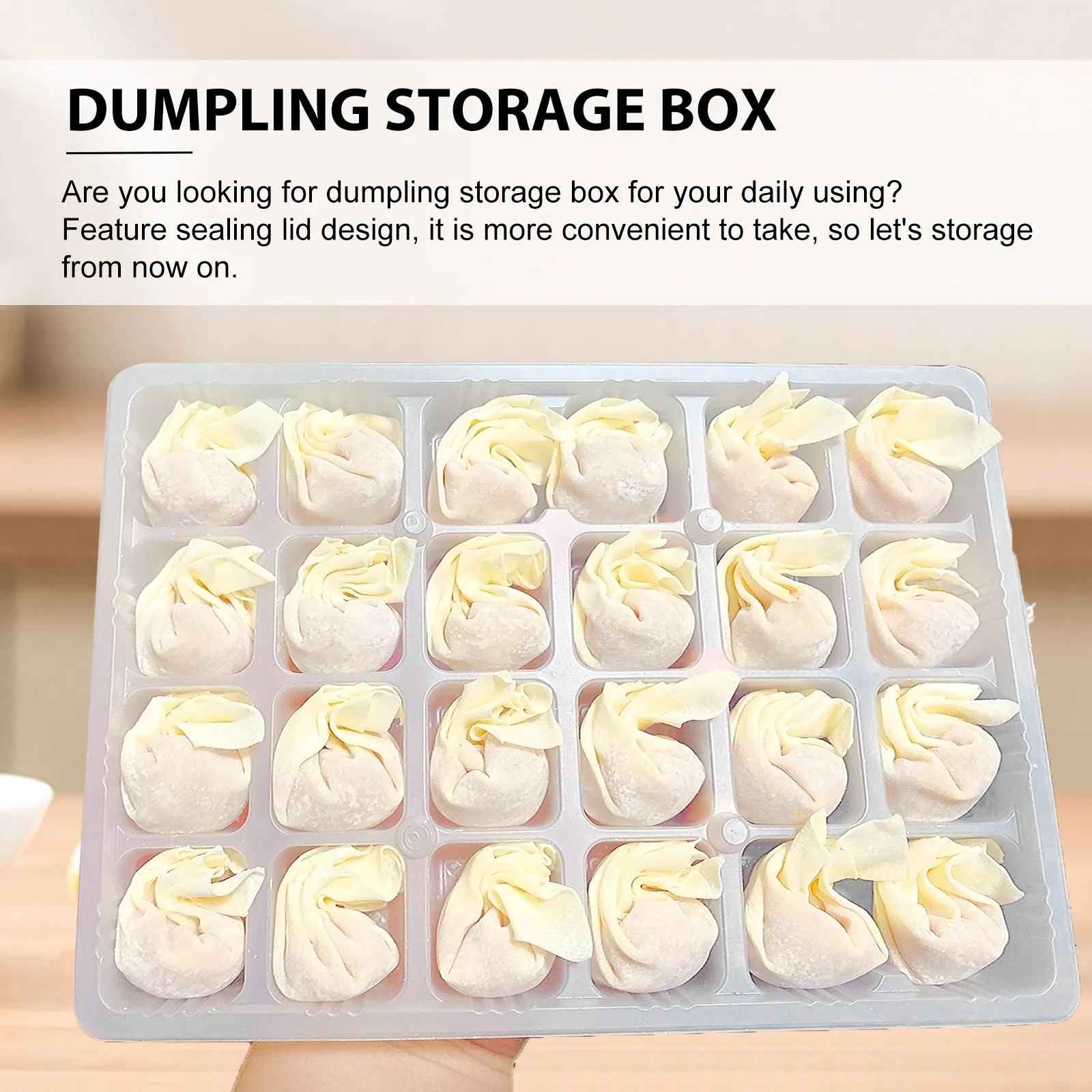 10-Pack Dumpling Storage Boxes – BPA-Free, Airtight Sealed Lid, Multi-Compartment Freezer & Fridge Safe Food Tray