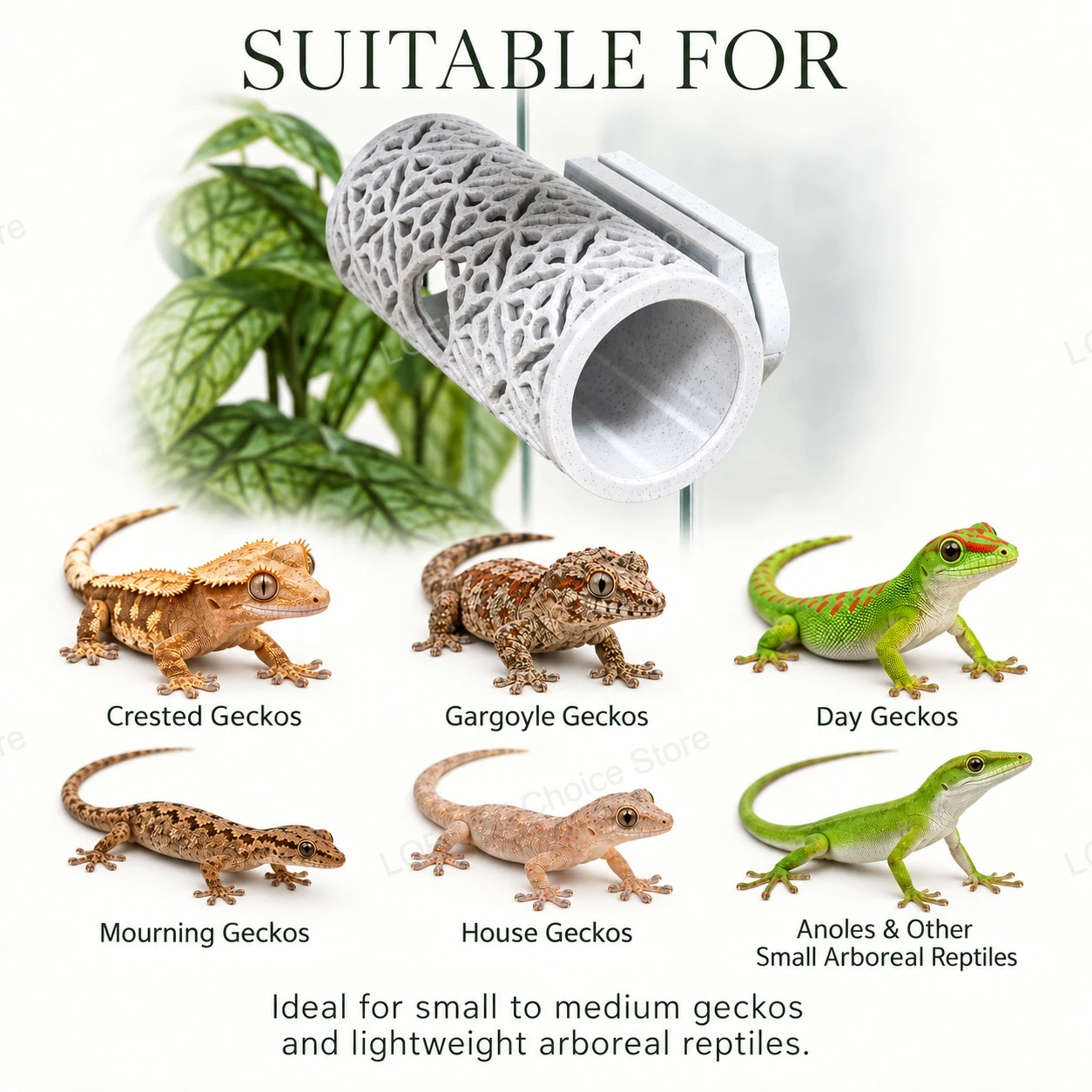 Magnetic Reptile Hide Tunnel Wall Mounted Gecko Cave with N52 Magnets for Crested Gecko Arboreal Terrarium Decor