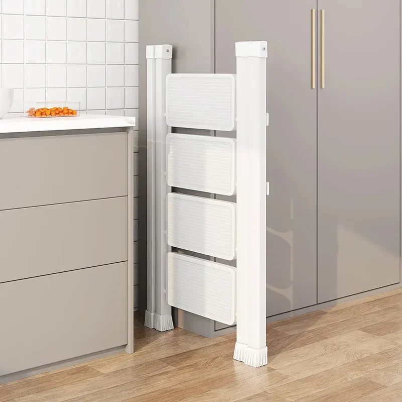 Рисунок 3 - Бытовая лестница