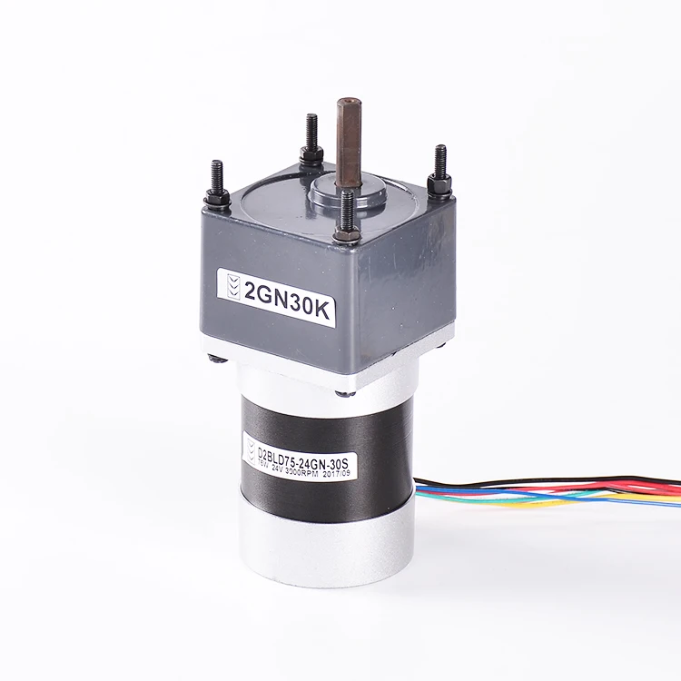 Custom Gearbox Differential Motor 12Volt 36Volt 150W 300W 150RPM 300RPM 7Nm High Torque Low RPM Gearbox Brushless DC Motor