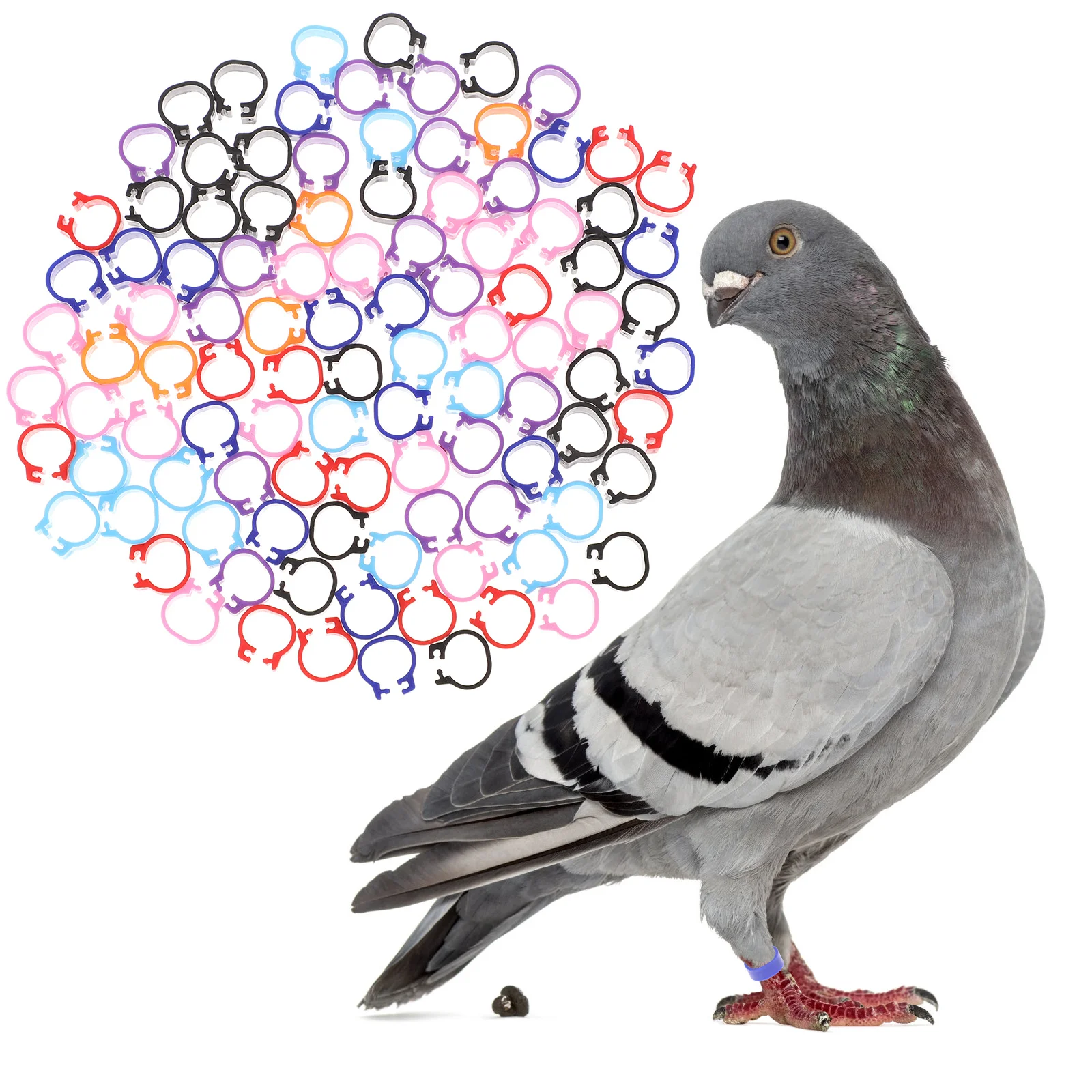 

100 Pcs Pigeon Foot Poultry Pigeons Chicken Birds Pie Tin Leg Dove