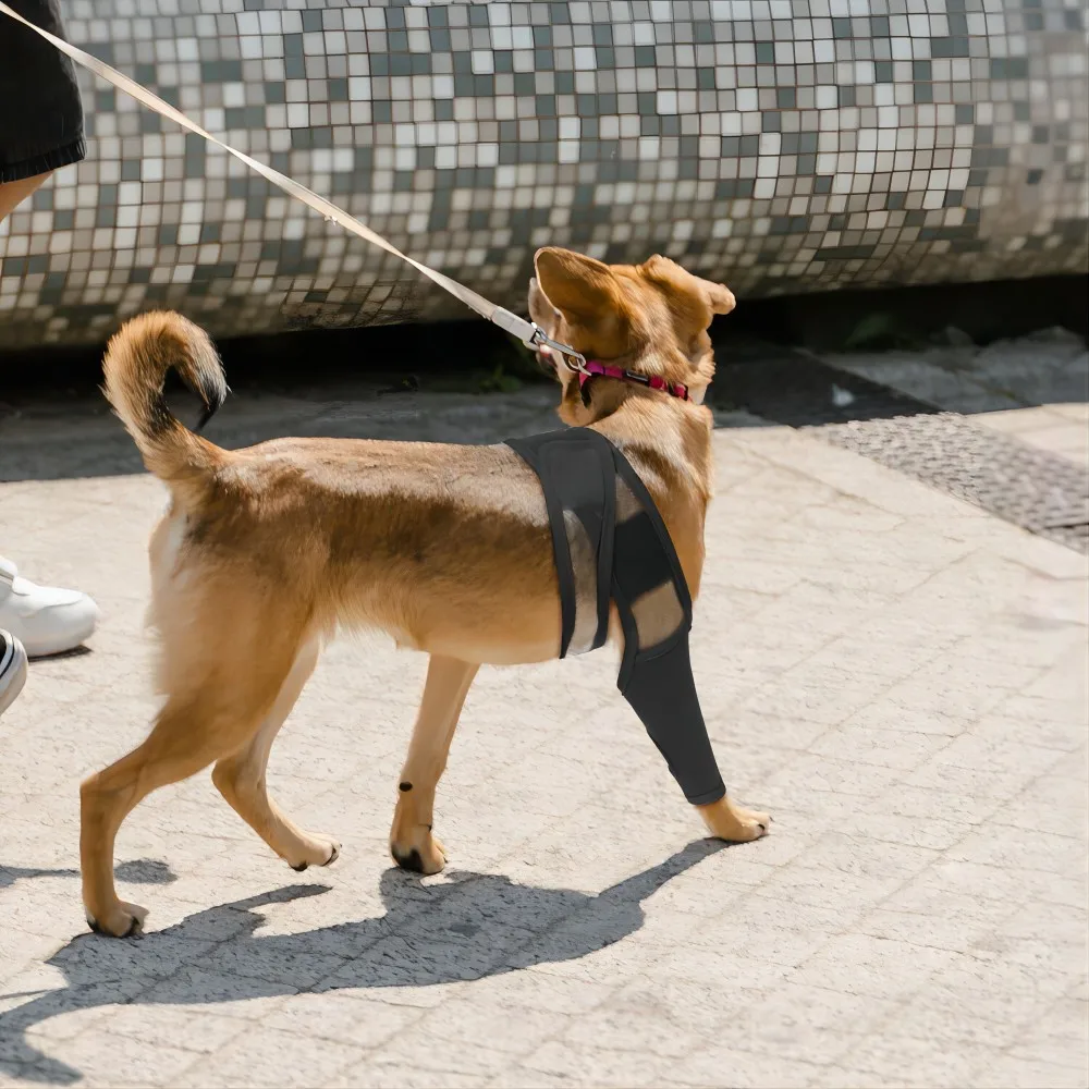 Dog Leg Support Bracket,Adjustable Back Leg Bracket Dog Thigh Protector Joint Knee Pad Leg Protection Weak Injury Protection Dog