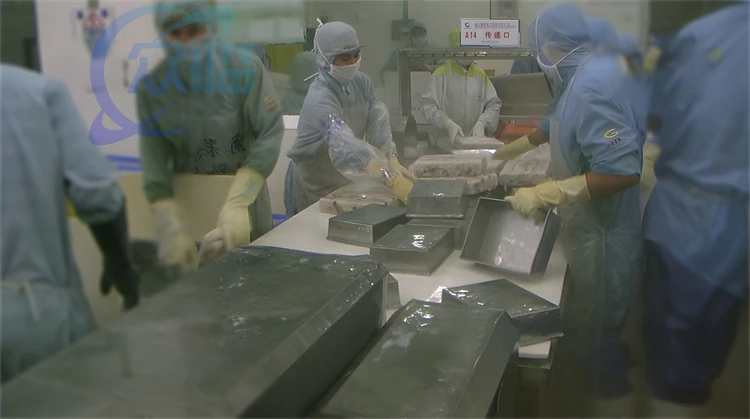 Seafood Fish and Shrimp Processing Equipment Fish and Shrimp Quick Fishing Machine  Fish and Shrimp Tray Separator