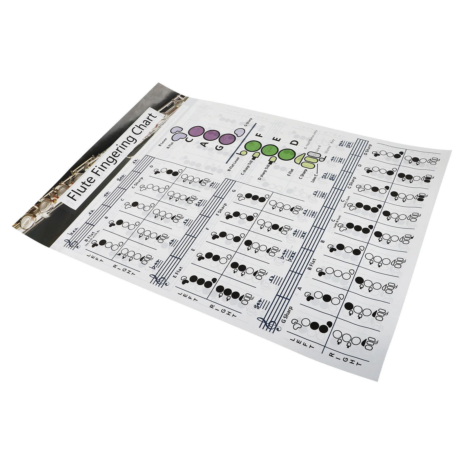 

Chord Long Durable Coated Paper Flute Chord Chart Music Poster For Beginner Practice Guide Flute Training Tool