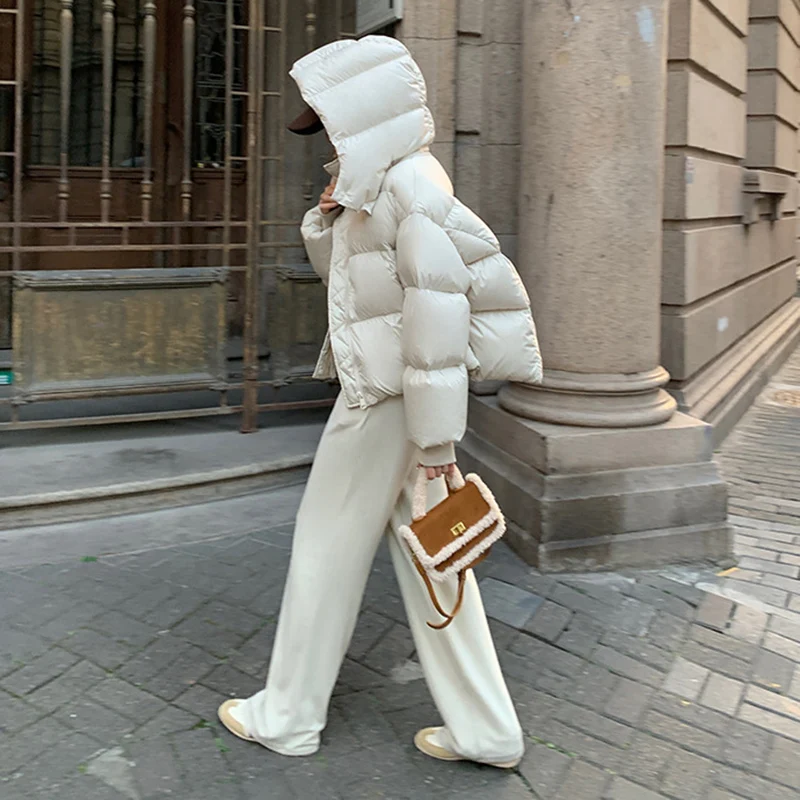 Windproof Zipper Up Stand Collar Puff Parkas Women Thicken Warm Hooded Down Cotton Coats Woman Korean Long Sleeve Short Parkas