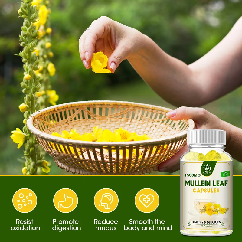 Organic Mullein Leaf Capsules Respiratory Health - Organic Mullein Leaf Extract for Lung Detox, Cleanse - 120 Vegan Cap