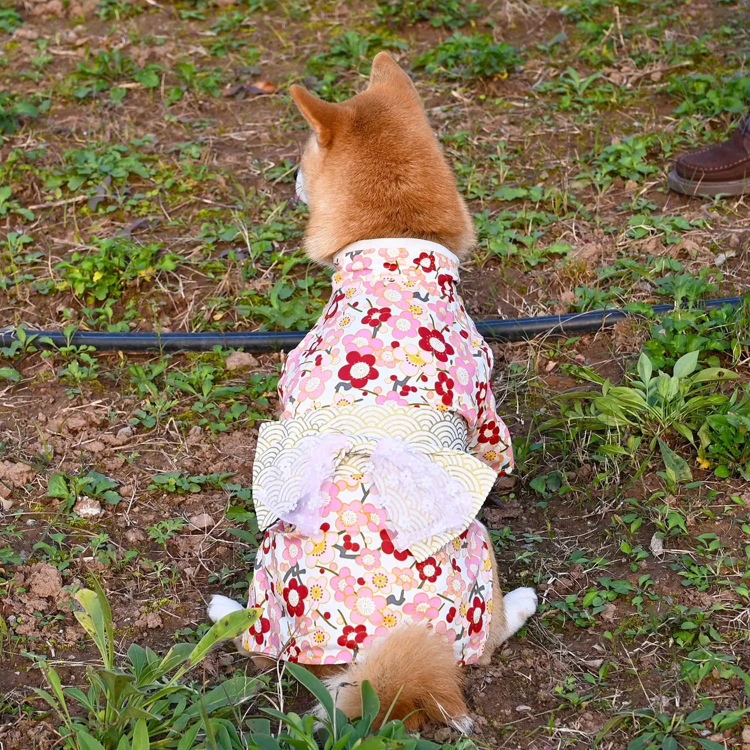 Japanese Style Pure Cotton Pet Kimono Small and Medium Dog Clothes Corgi Shiba Inu Puppy Costume Cat Clothes Dogs Accessories