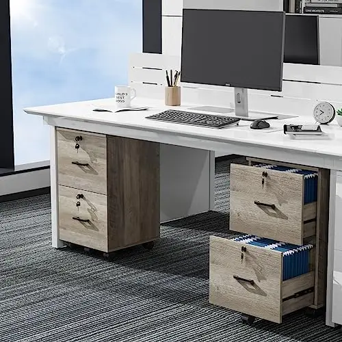 2 Drawer File Cabinet with Lock, Wood Rustic Gray Filing Cabinet for Letter Size File Folders with Tabs, Under Desk