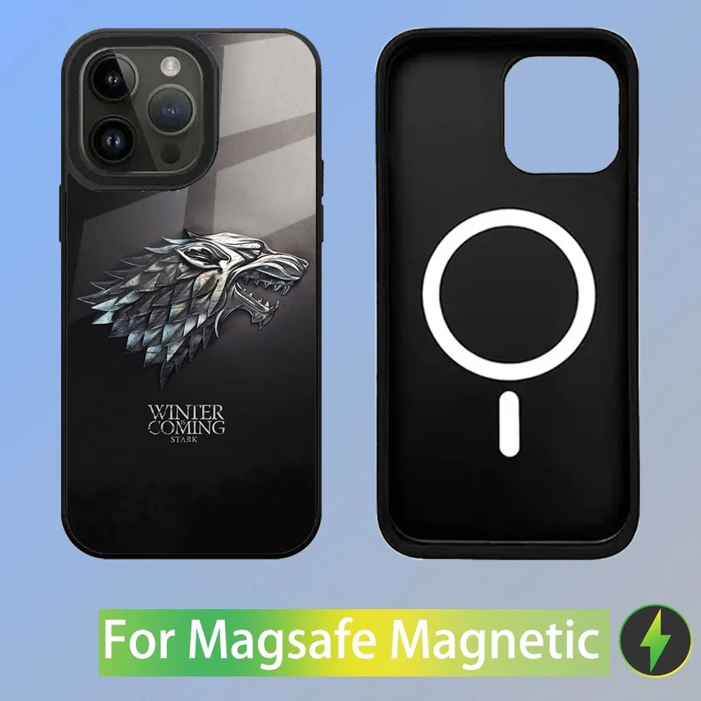 Winter Coming Stark Phone Case For iPhone 15,14,13,12,11,Plus,Pro,Max Mini Magsafe Magnetic Wireless Charging