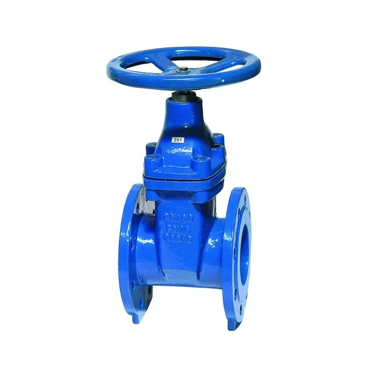 For BS 5163 Ductile Iron PN10 PN16 DN100 50mm Non Rising Stem NRS Gate Valve For Water