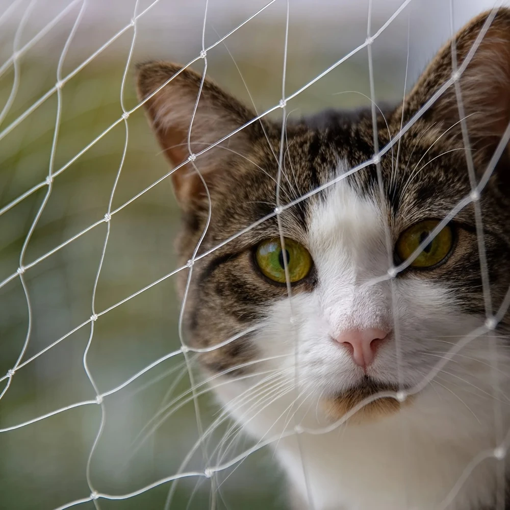 #9 Latest Cat Safety Window Nets Updates