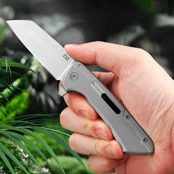 Small Folding Pocket Knife With Clip Stainless Steel Tactical Survival Pocketknife D2 Blade Outdoor Self Defense Camping Knives