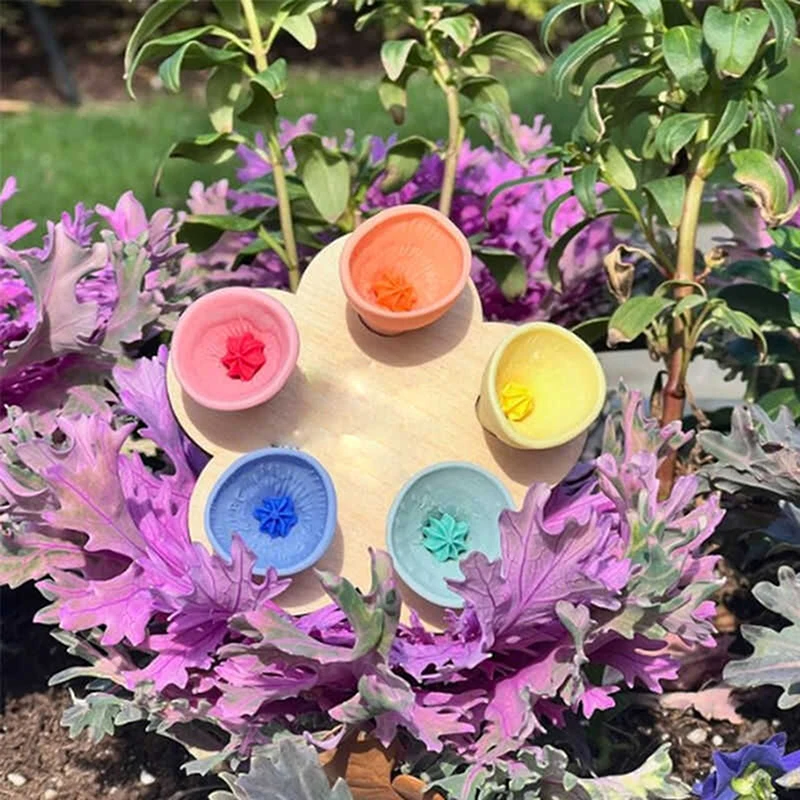 5pcs Bees Insect Drinking Cup Bee Drinking Fountain Cup Flower Shape Bees Water Feeder With Holder Beekeeping Supplies